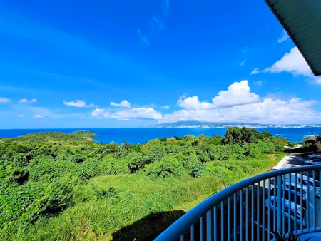 vente appartement 50 m² à les trois ilets (97229)  295 000 €