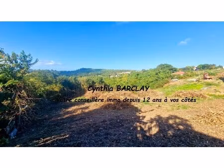 terrain constructible