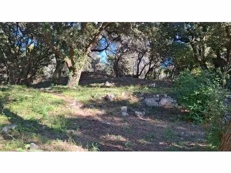 terrain constructible viabilisé à vendre