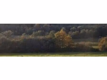 terrain constructible viabilisé à vendre