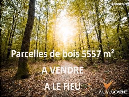 terrain 5 755 m² le fieu