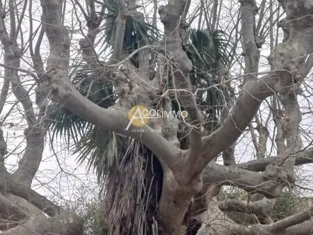 terrain 2 046 m² la garde