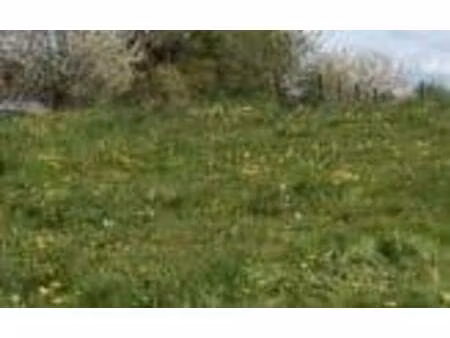 terrain constructible viabilisé à vendre