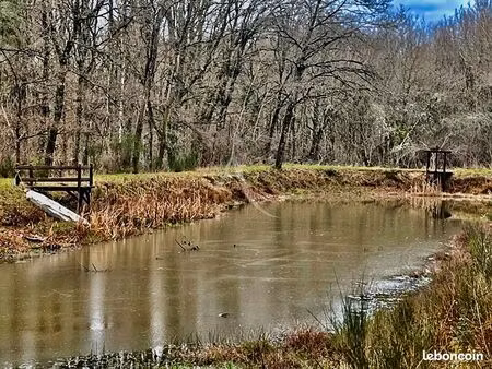 terrain 5081 m² villefranche sur cher