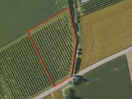 terrain à vendre à sint-truiden € 39.000 (lki39) - rt vastgoed bv | zimmo