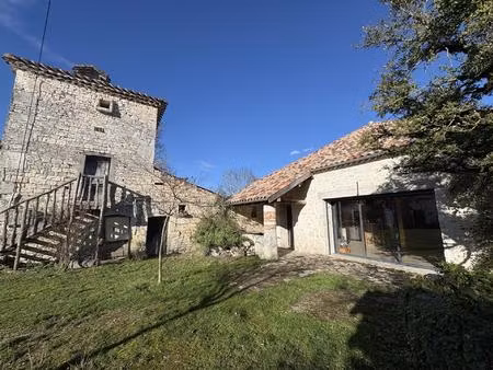 propriété en pierre avec grange  pigeonnier et dépendances terrain 7 000 m2