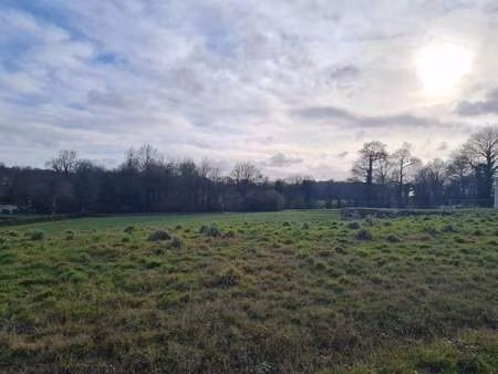 vente terrain à pleugriffet (56120) : à vendre / 3740m² pleugriffet