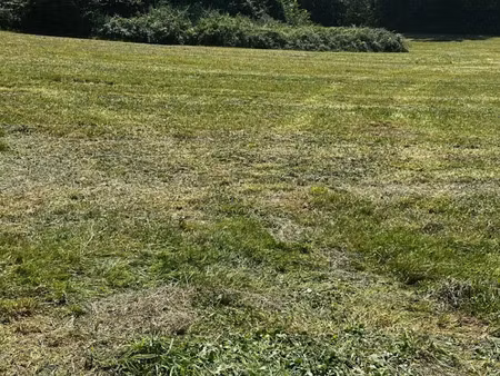 vente terrain 328 m² à corme-royal (17600)  40 500 €