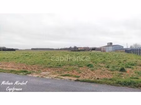 terrain constructible viabilisé à vendre