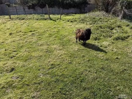 terrain constructible viabilisé à vendre