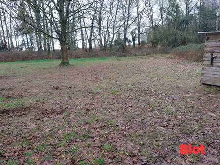vente terrain à balazé (35500) : à vendre / 18618m² balazé