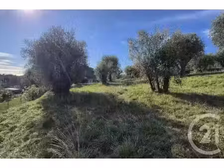 terrain à vendre - 1002 m2 - vence - 06 - provence-alpes-cote-d-azur