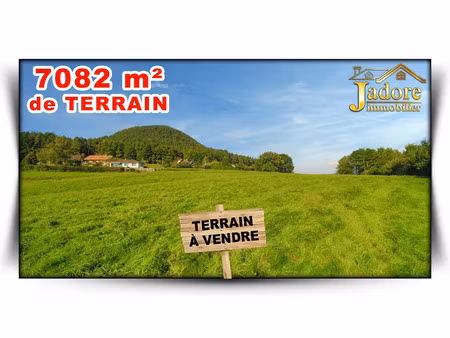 vente terrain 7080 m² à saint-die-des-vosges (88100)  85 000 €
