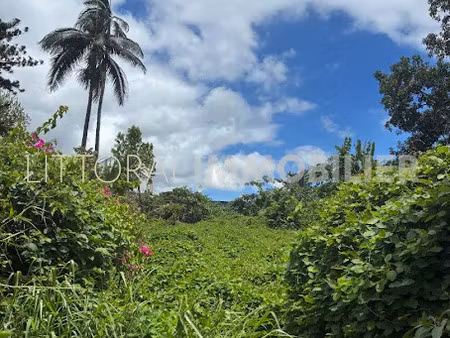 vente terrain 1150 m² à le tampon (97430)  312 000 €