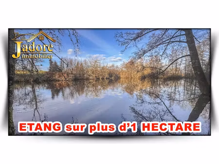 vente terrain 11165 m² à coinches (88100)  139 000 €