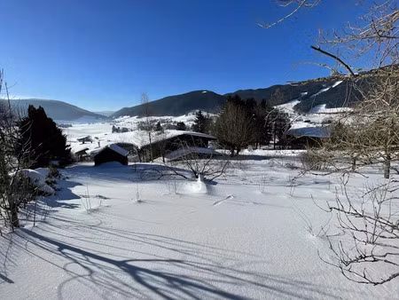 vente terrain à batir 796 m² à méaudre (38112)  240 000 €