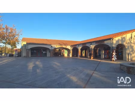 vente locaux professionnels 87 m² à saint-jean-pla-de-corts (66490)  162 000 €