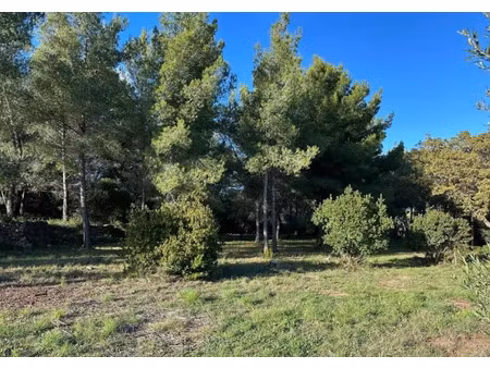 vente terrain 543 m² à ollioules (83190)  245 000 €