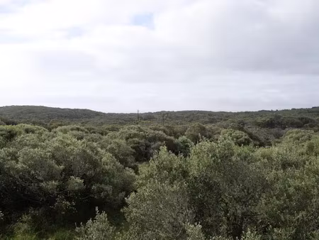 vente terrain 8000 m² à bonifacio (20169)  1 350 000 €