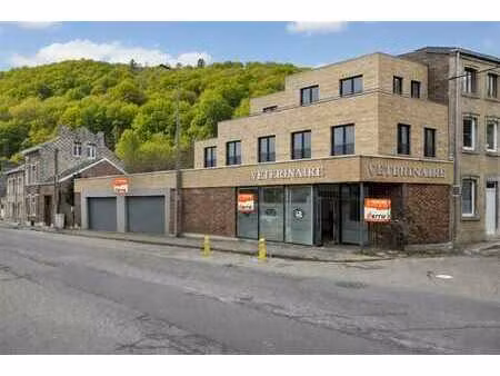 opportunité mixte : espace pro + projet résidentiel*