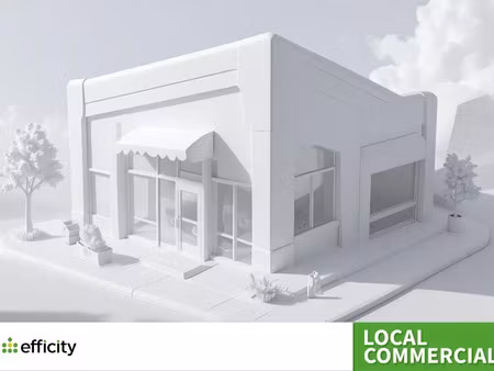 vente locaux professionnels 260 m² à chamonix-mont-blanc (74400)  770 000 €