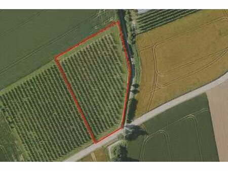 landbouwgrond van 57a 95ca te gelinden