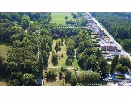 te koop – uniek stuk bouwgrond in de bossen van lembeke –...