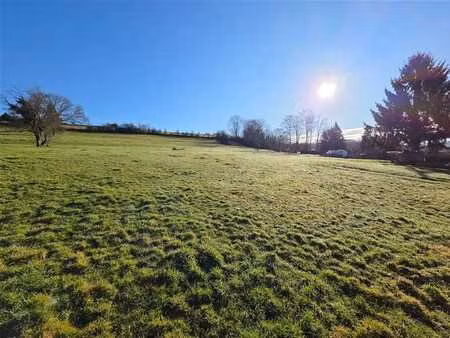 magnifique terrain à bâtir et agricole de 7.199 m² au total