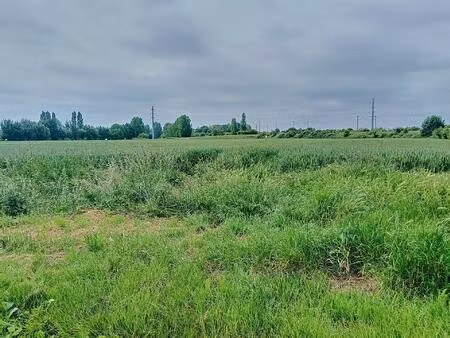 terrain à bâtir en campagne  sur le triangle aire-sur-la-lys  saint-venant  thiennes