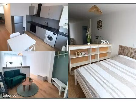 beau f1 de 31m² - entièrement rénové
