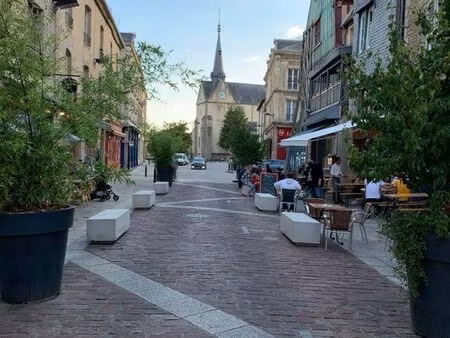 appartement f2  46 m2 + grande cave : plein coeur ville