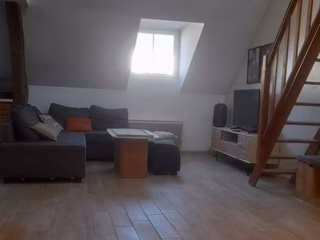 très bel appartement olivet