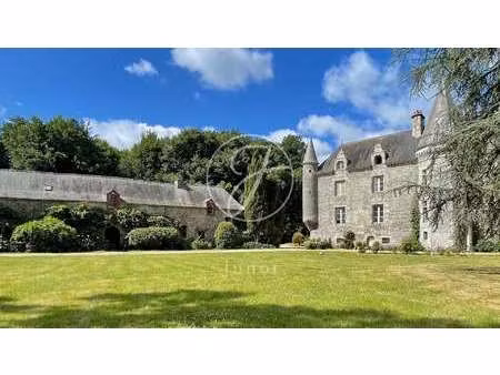 château à vendre à la chapelle-caro : 1 470 000 € | 800m²