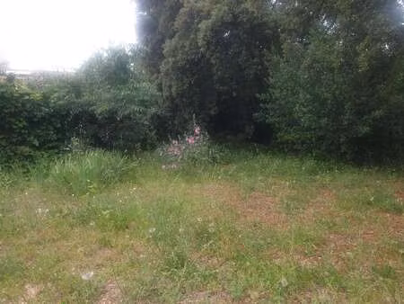 vente maison à castelnau-le-lez (34170) : à vendre / 75m² castelnau-le-lez