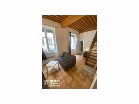 appartement t1 + mezzanine - meuble