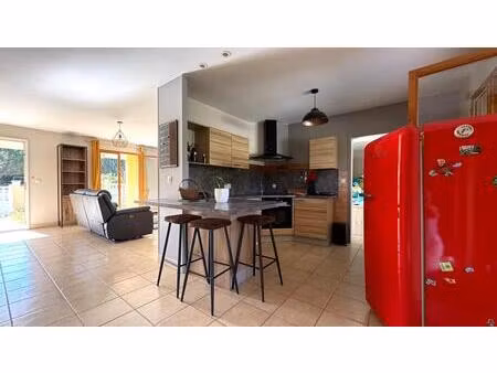 maison à saint nauphary 82370 -t 6 110 m2 avec piscine