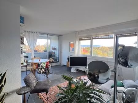 t3 ferney - vue mont blanc - tout meublé  idéal pour télétravail - proche cern/onu