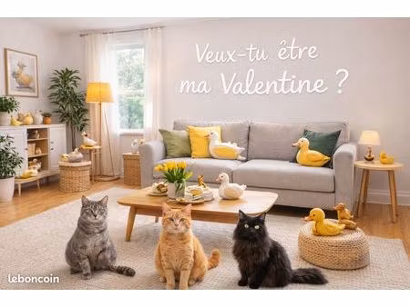 appartement t2 aix-en-provence  39 m²  dispo à partir du 09/02