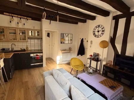 appartement hyper centre tours