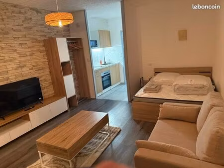 appartement t1 gaillard