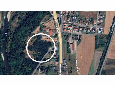 terrain forestier de 4 944 m² - réguisheim (68) - zone protégée