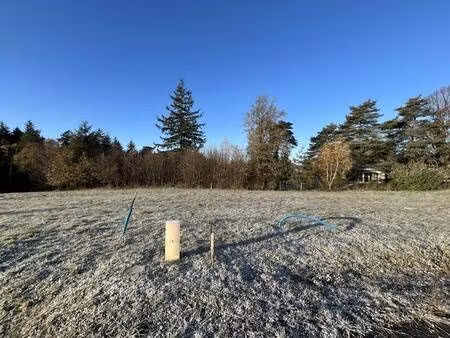 terrain constructible viabilisé à vendre