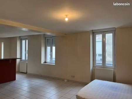 appartement t3 plein centre