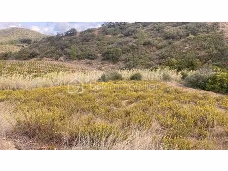 terrain agricole de 3 425 m² à maury