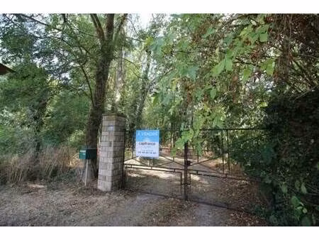 menart cindy capifrance