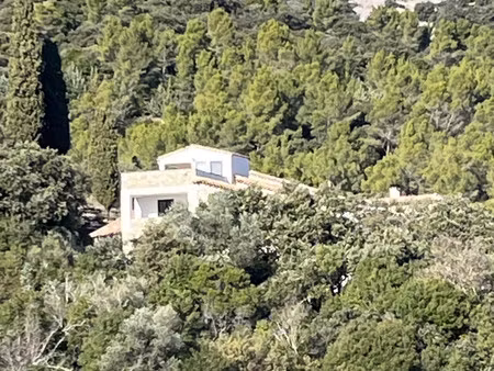 rare mas d'exception en pierre / secteur prisé pic saint-loup