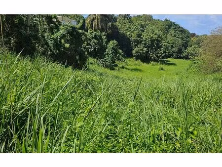 terrain les abymes m² t- à vendre  110 000 €