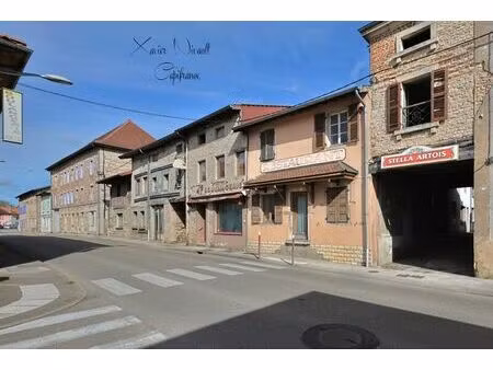 vente maison 8 pièces 373 m² montrevel-en-bresse (01340)