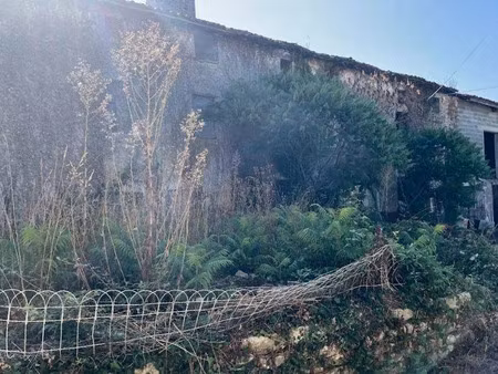 vente maison 4 pièces 93 m² à nanteuil-en-vallée (16700)  20 000 €