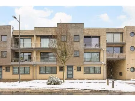 appartement te huur in wilrijk met 2 slaapkamers